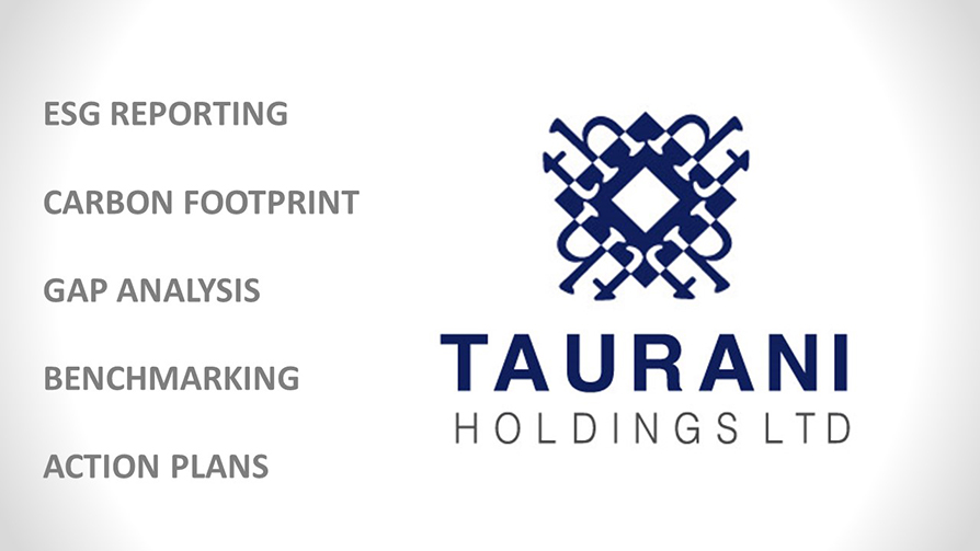 Taurani Holdings Sustainability