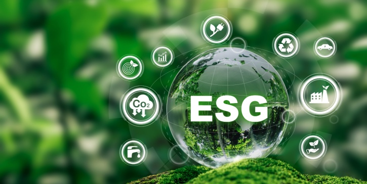 ESG Consultant