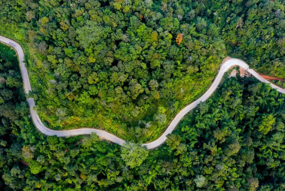 ESG & Sustainability Advisory Services